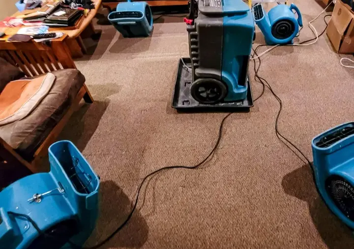 Air movers and a dehumidifier drying wet carpet in an Aurora living room