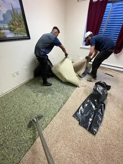 Crew lifting wet carpet and pad after a water loss in Aurora